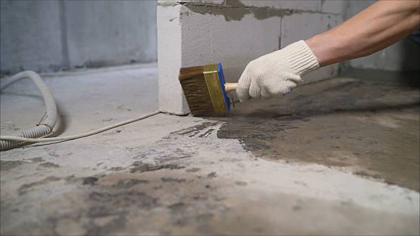 SJ Waterproofing Pros Waterproofing coverage map for Canaseraga, NY and surrounding area